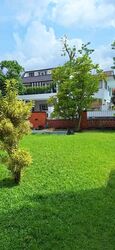 Shamrock Park (D10), Semi-Detached #587554291